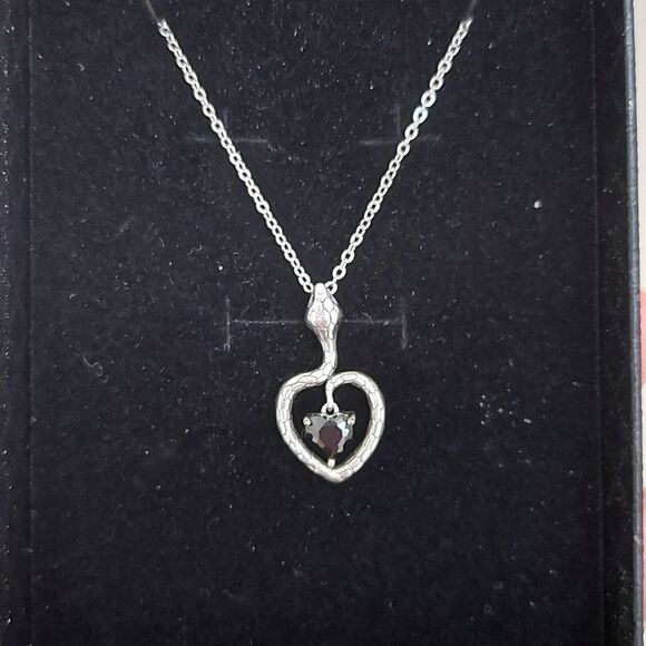 Elegant Silver Snake Heart Necklace - Picture 9 of 12